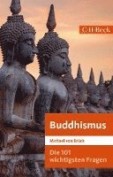 Michael von Brück - Die 101 wichtigsten Fragen: Buddhismus, Häftad
