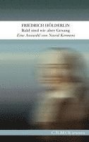 Friedrich Hölderlin - Bald sind wir aber Gesang, Inbunden