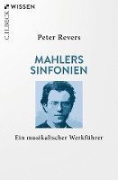 bokomslag Mahlers Sinfonien
