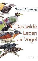 bokomslag Das wilde Leben der Vögel