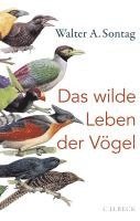 Walter A. Sontag - Das wilde Leben der Vögel, Inbunden