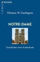 bokomslag Notre-Dame