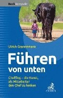 bokomslag Führen von unten