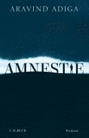 Amnestie 1