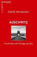 bokomslag Auschwitz - Geschichte und Nachgeschichte