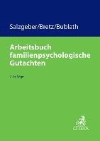 bokomslag Arbeitsbuch familienpsychologische Gutachten