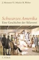 bokomslag Schwarzes Amerika