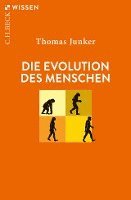 bokomslag Die Evolution des Menschen