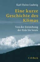 bokomslag Eine kurze Geschichte des Klimas