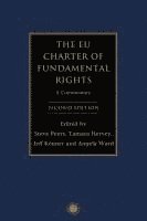 bokomslag The EU Charter of Fundamental Rights