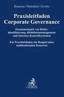 bokomslag Praxisleitfaden Corporate Governance: Zusammenspiel von Risikoidentifizierung, Richtlinienmanagement und Internem Kontrollsystem