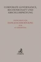 bokomslag Corporate Governance, Rechenschaft und Abschlussprüfung