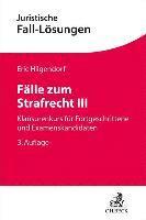 Eric Hilgendorf - Fälle zum Strafrecht III, Häftad