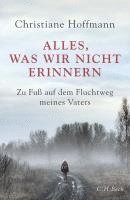 Alles, was wir nicht erinnern 1