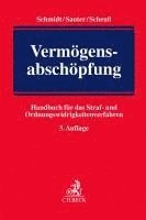 bokomslag Vermögensabschöpfung