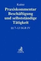 bokomslag Praxiskommentar Beschäftigung und selbstständige Tätigkeit