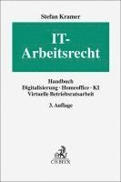 bokomslag IT-Arbeitsrecht