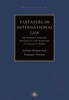 bokomslag Taxpayers in International Law