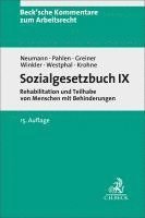 bokomslag Sozialgesetzbuch IX