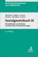 Sozialgesetzbuch IX. SGB IX