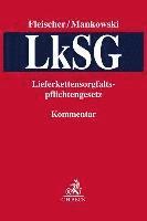 bokomslag LkSG