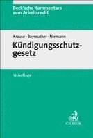 Kündigungsschutzgesetz. KSchG