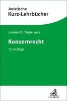 bokomslag Konzernrecht