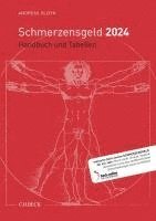 Schmerzensgeld 2024 1