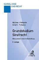 Grundstudium Strafrecht 1