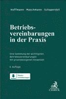 Betriebsvereinbarungen in der Praxis