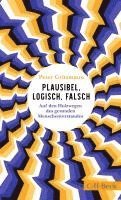 bokomslag Plausibel, logisch, falsch