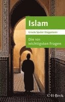 bokomslag Die 101 wichtigsten Fragen - Islam