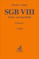 Reinhard Wiesner, Friederike Wapler - SGB VIII, Inbunden