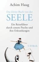 bokomslag Das kleine Buch von der Seele