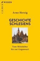 bokomslag Geschichte Schlesiens