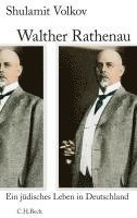 bokomslag Walther Rathenau