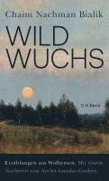 Wildwuchs 1