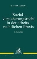 bokomslag Sozialversicherungsrecht in der arbeitsrechtlichen Praxis