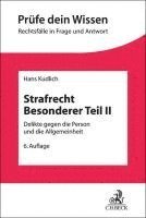 bokomslag Strafrecht Besonderer Teil II