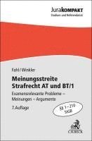 bokomslag Meinungsstreite Strafrecht AT und BT/1