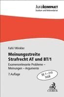 Christian Fahl, Klaus Winkler - Meinungsstreite Strafrecht AT und BT/1, Häftad