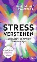 bokomslag Stress verstehen
