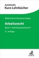 Raimund Waltermann, Katja Chandna-Hoppe, Alfred Söllner - Arbeitsrecht, Häftad