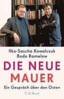 bokomslag Die neue Mauer