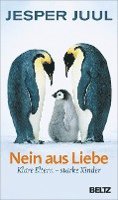 bokomslag Nein aus Liebe