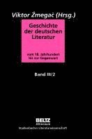 bokomslag Geschichte der deutschen Literatur Band III/2