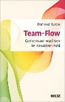 bokomslag Team-Flow