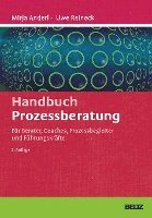 bokomslag Handbuch Prozessberatung