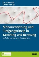 bokomslag Sinnorientierung und Tiefgangprinzip in Coaching und Beratung