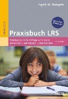 bokomslag Praxisbuch LRS